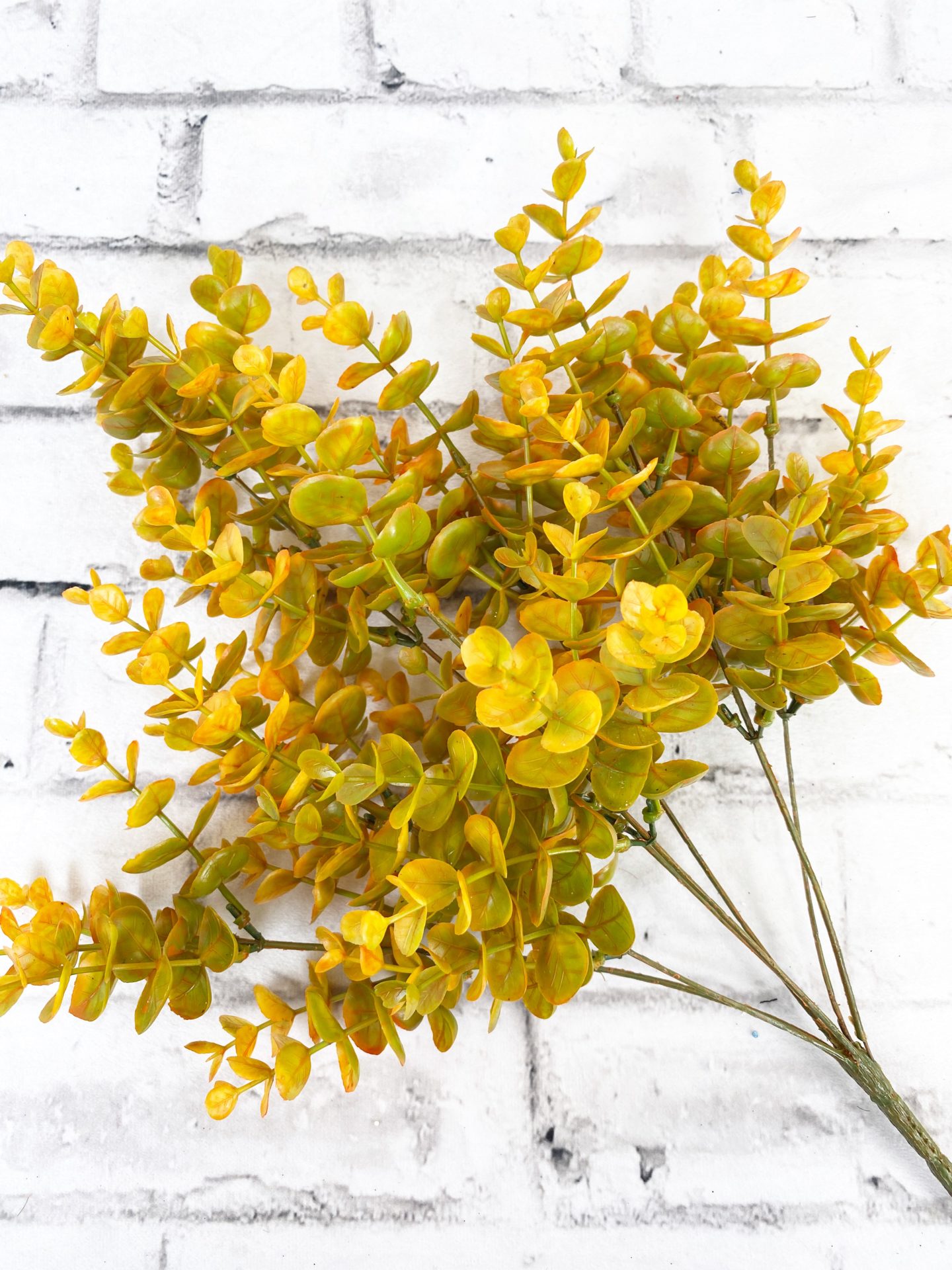 Mustard Color Eucalyptus Bush Kelea's Florals