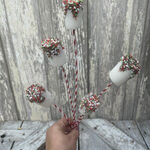 Chocolate Dipped Marshmallow Pick