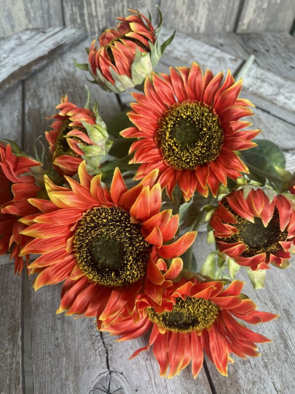 Large Orange Sunflower Bush Kelea's Florals
