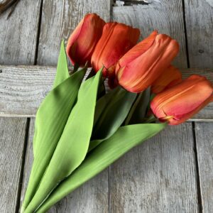 Orange Tulip Bundle