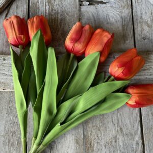 Orange Tulip Bundle