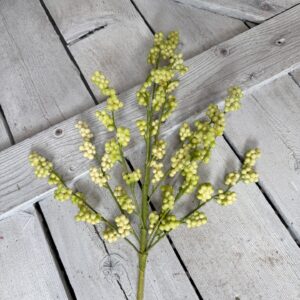 Green Berry Stem 63096GN