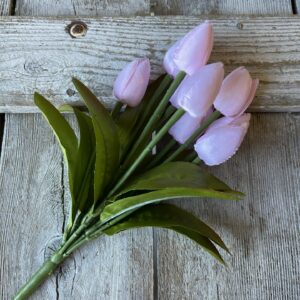 13 in Light Pink Tulip Bush