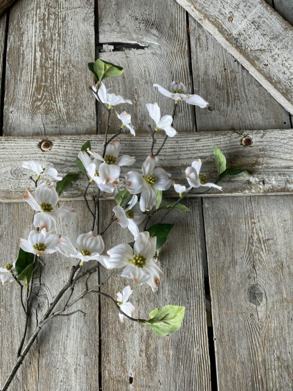 Dogwood Stem Kelea's Florals
