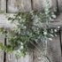 19 in White Green Eucalyptus Bush
