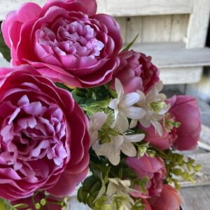 21 in Pink Peony Bush