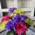 Purple Dark Pink Green Gerber Daisy Bush