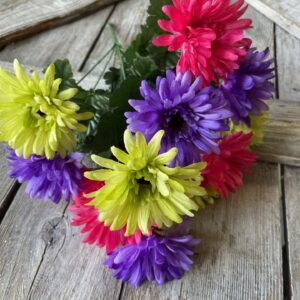 Purple Dark Pink Green Gerber Daisy Bush