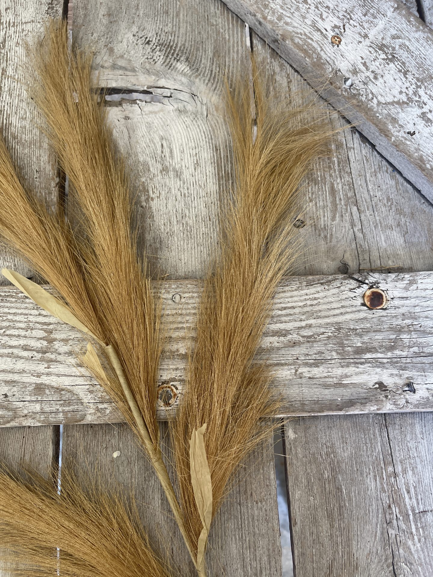 Large Gold Pampas Grass Stem Kelea's Florals
