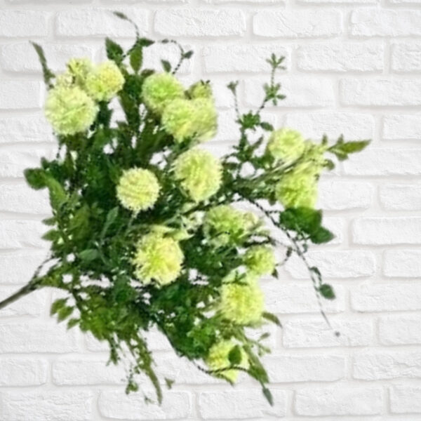 Cream-Plastic-Snowball-Allium-Leaves-Bush