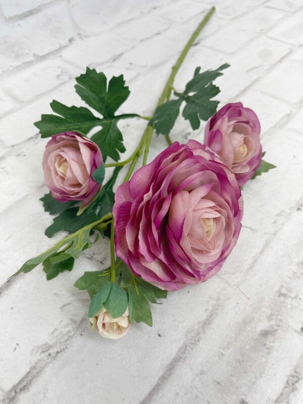 Italian Ranunculus Purple Fuchsia Purple Italian Ranunculus Stem - Kelea's Florals