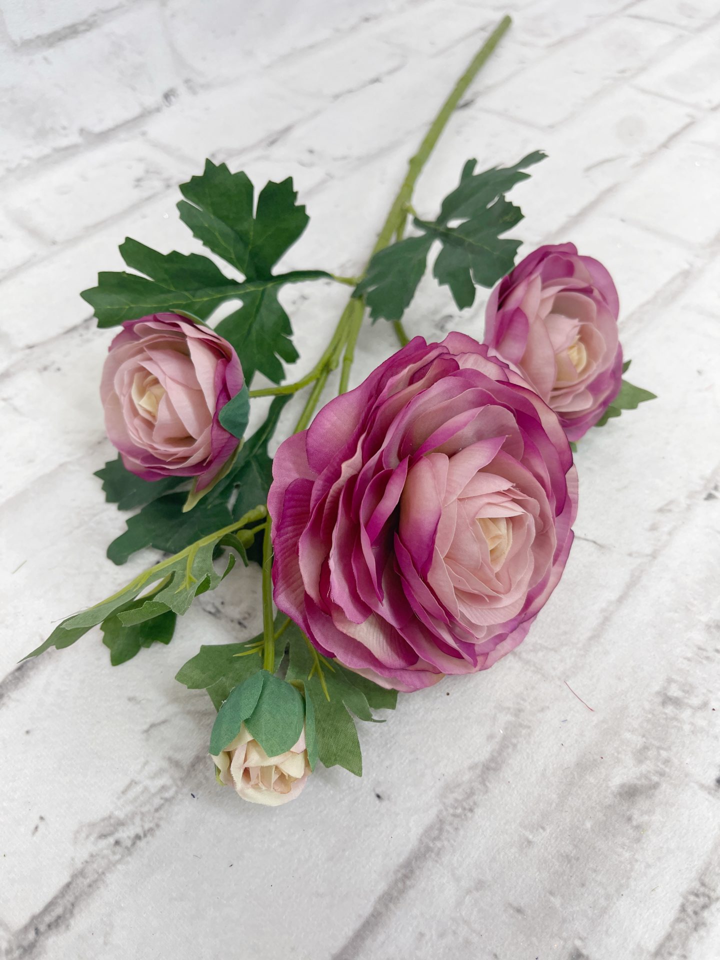Fuchsia Purple Italian Ranunculus Stem - Kelea's Florals