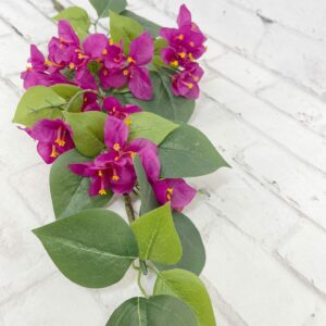 32 in Purple Bougainvillea Stem