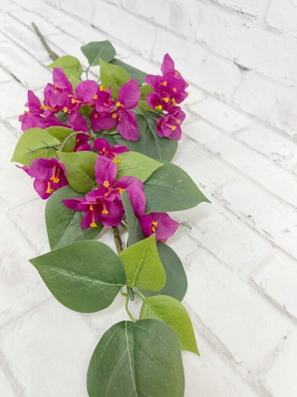 32 in Purple Bougainvillea Stem