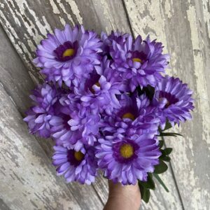Purple Callistephus Bush