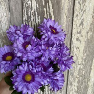 Purple Callistephus Bush