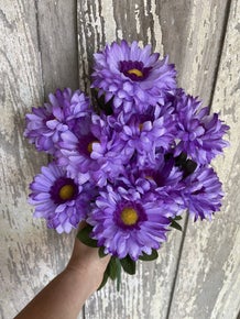 Purple Callistephus Bush