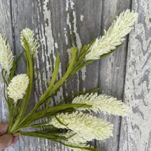 Cream Cattail Bush