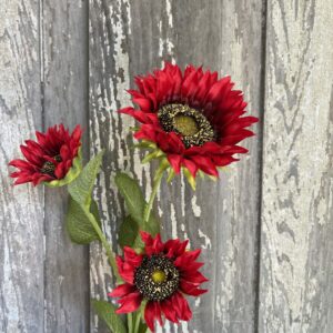Red Sunflowers