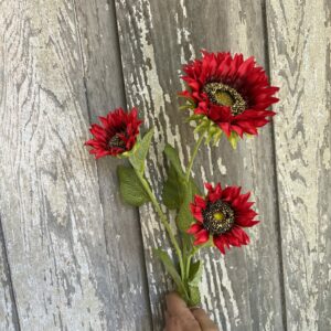 Red Sunflowers