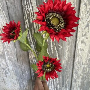 Red Sunflowers