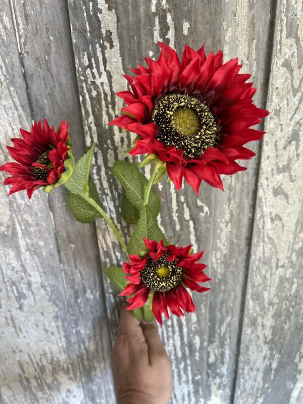 Red Sunflowers