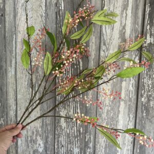 Orange Cream Berry Stem