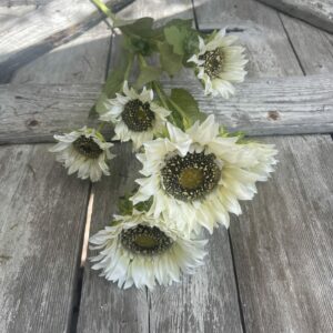 6 Head Cream Sunflower Stem