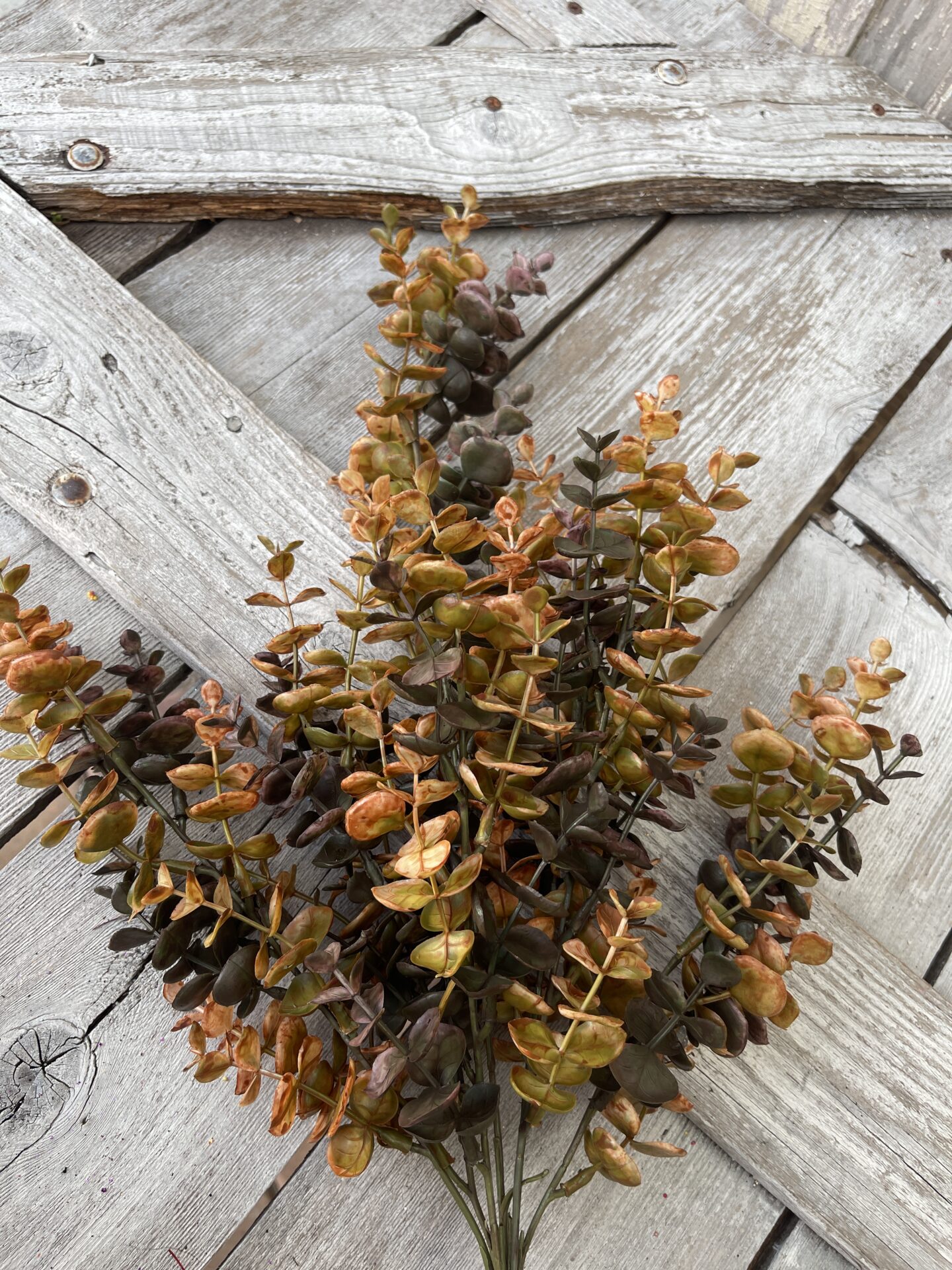 Autumn Green Eucalyptus Bush - Kelea's Florals