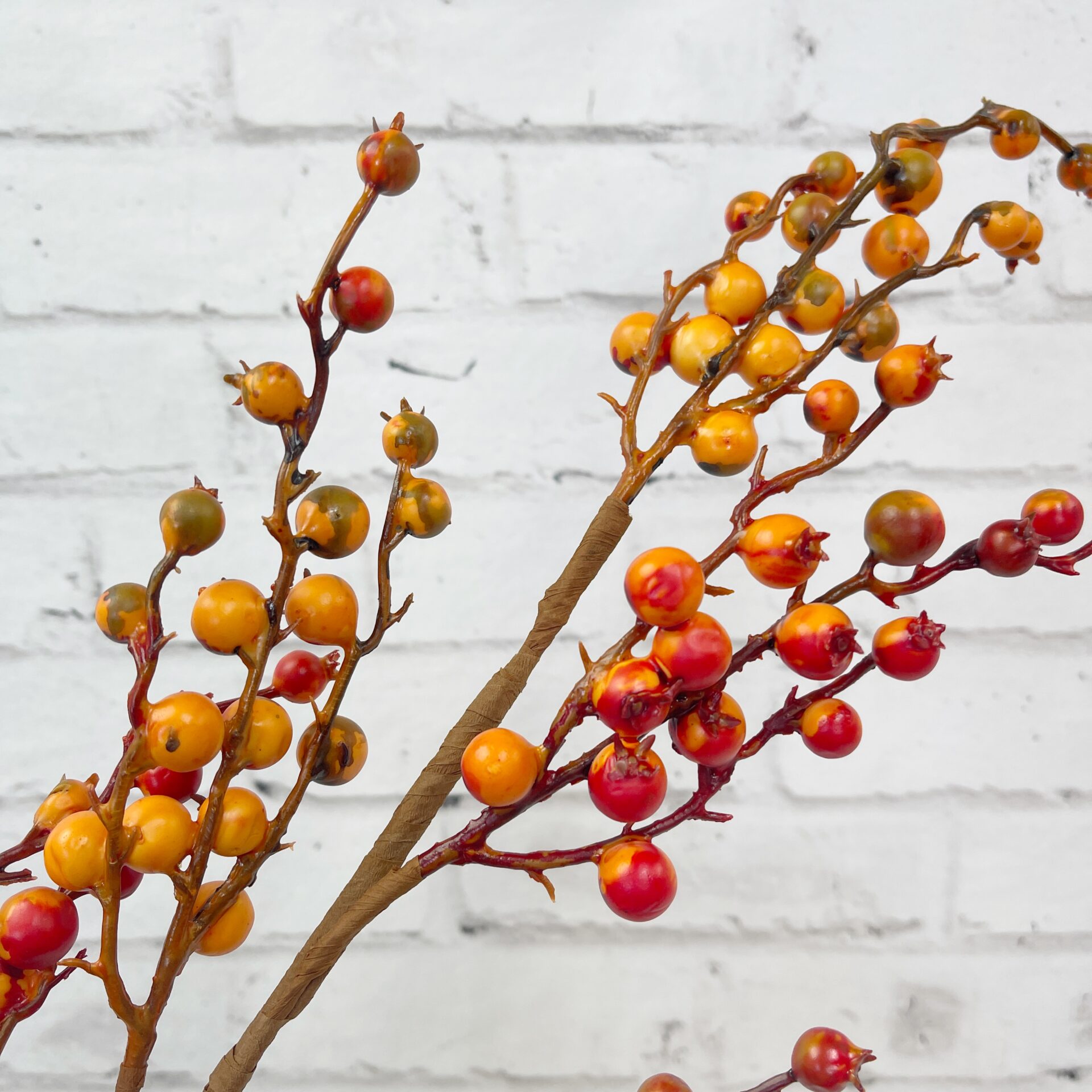 Orange Berry Stem Kelea's Florals