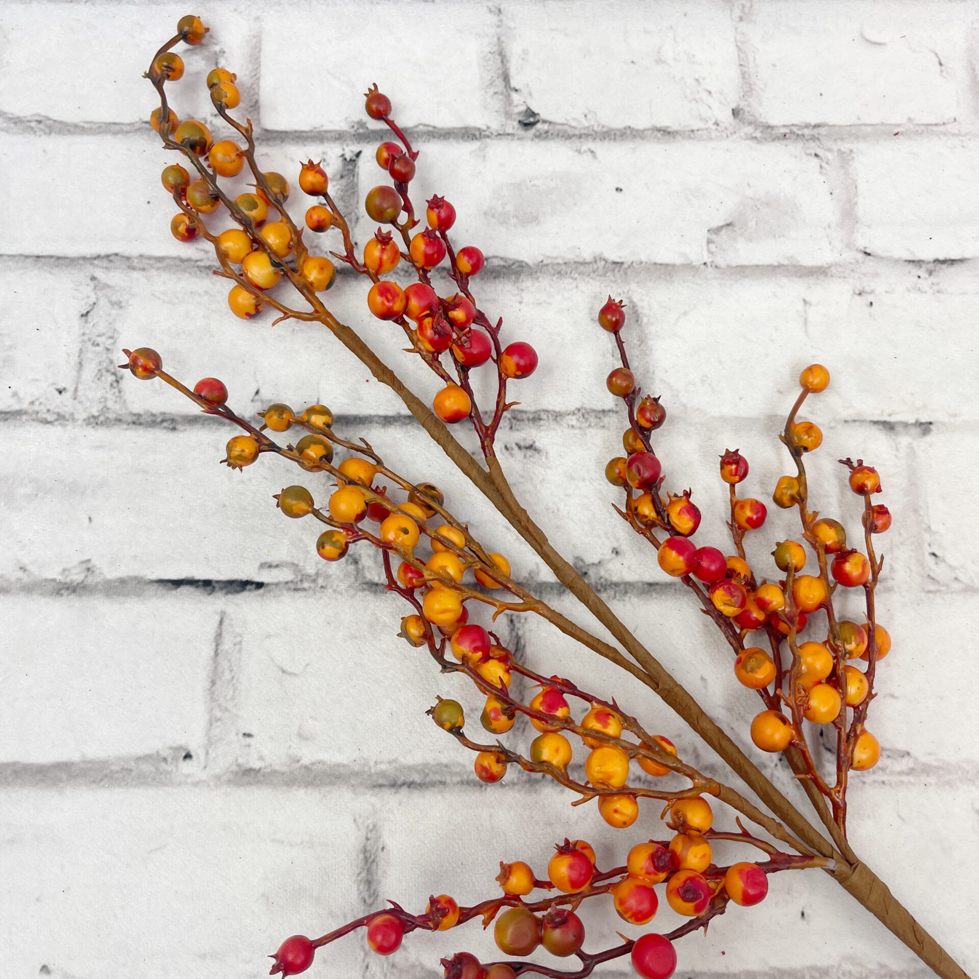 Orange Berry Stem Kelea's Florals