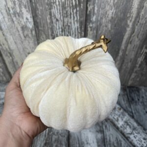 5x7 Cream Velvet Pumpkin l56779cm