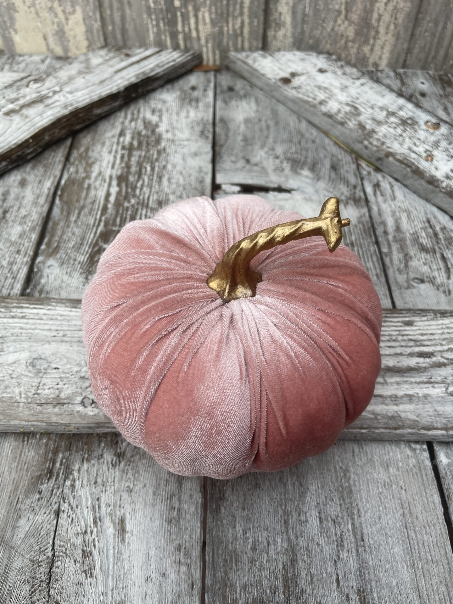 Pink Velvet Pumpkin Kelea's Florals