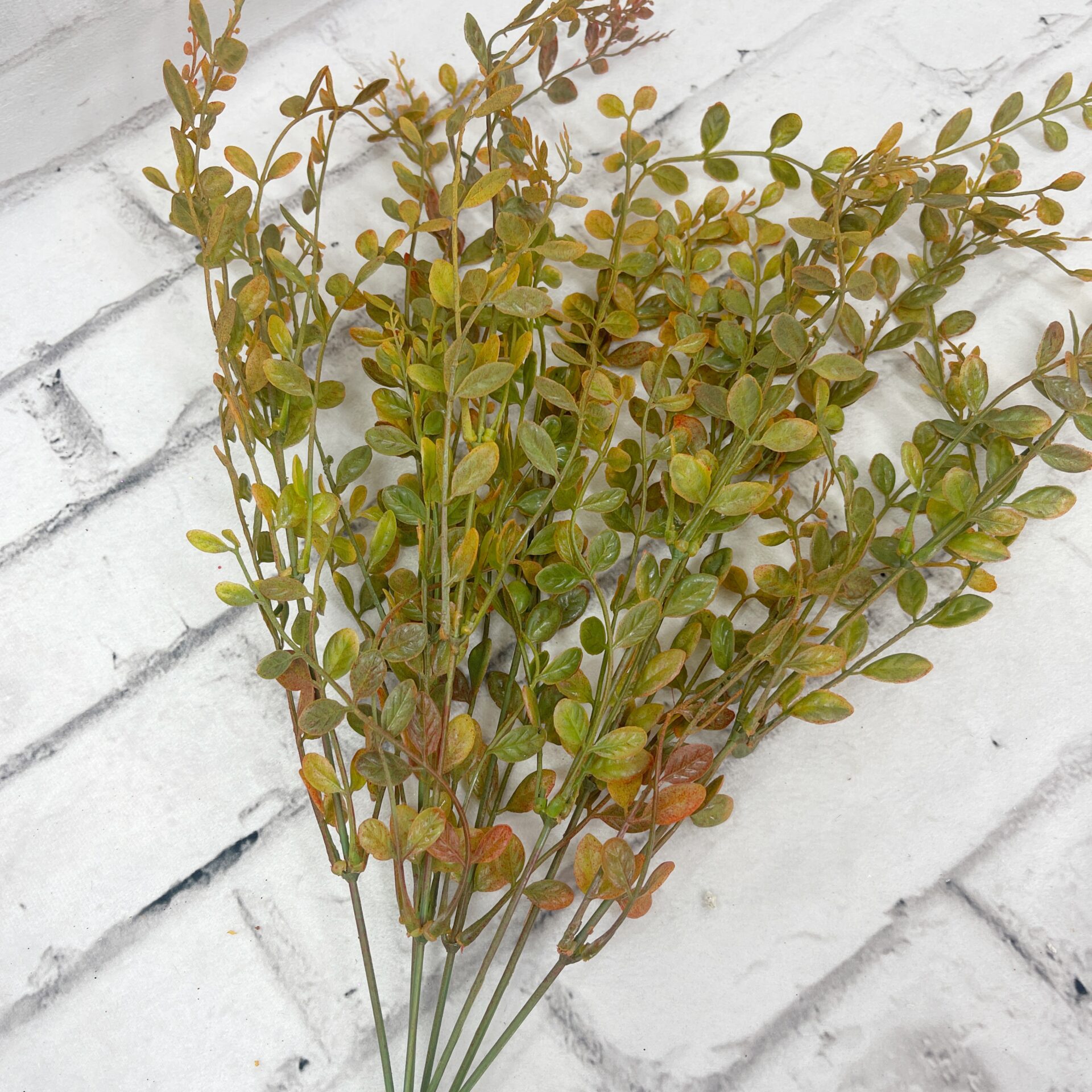 Fall Color Boxwood Fall Boxwood Bush - Kelea's Florals