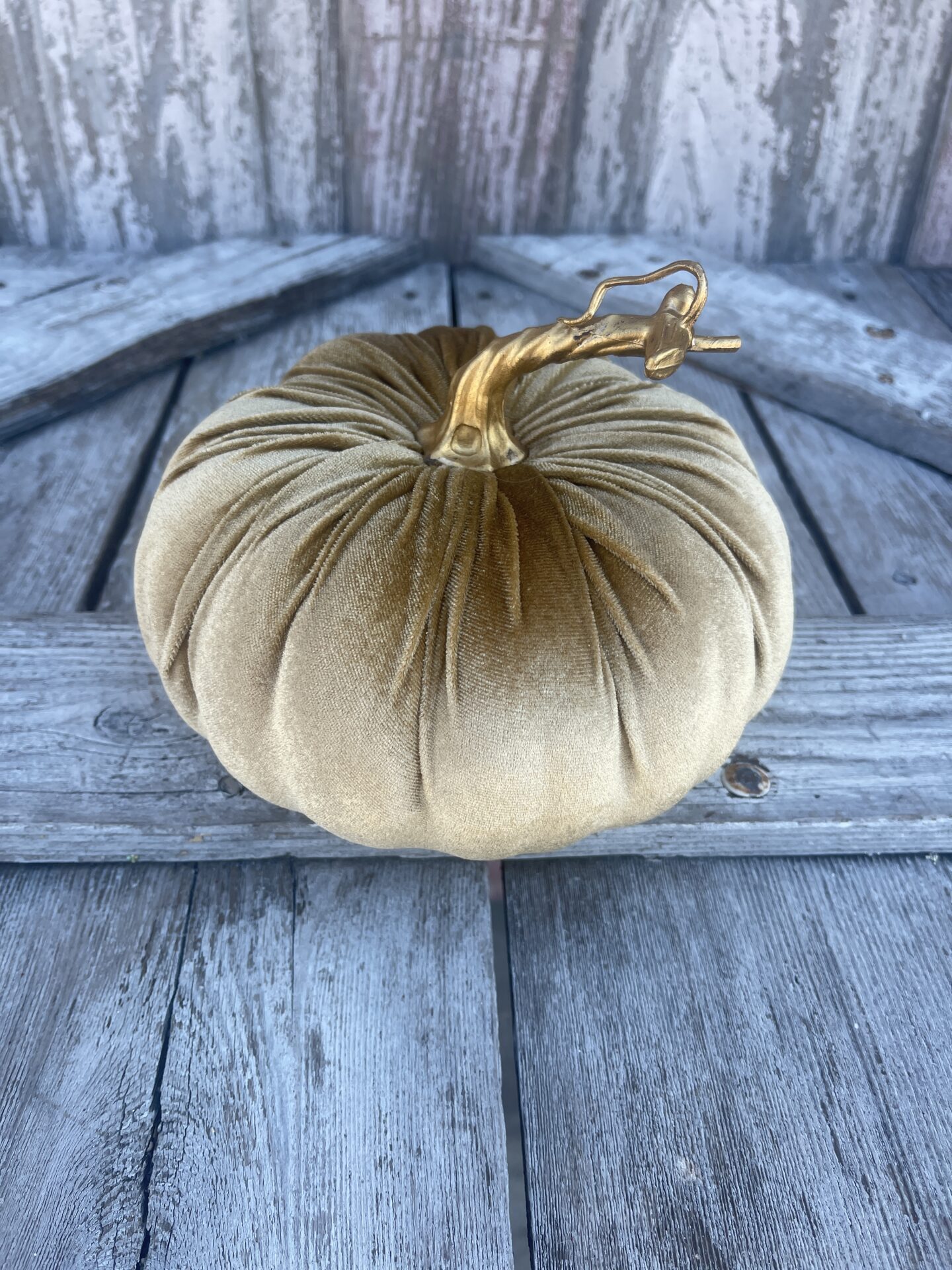 Brown Velvet Pumpkin Kelea's Florals