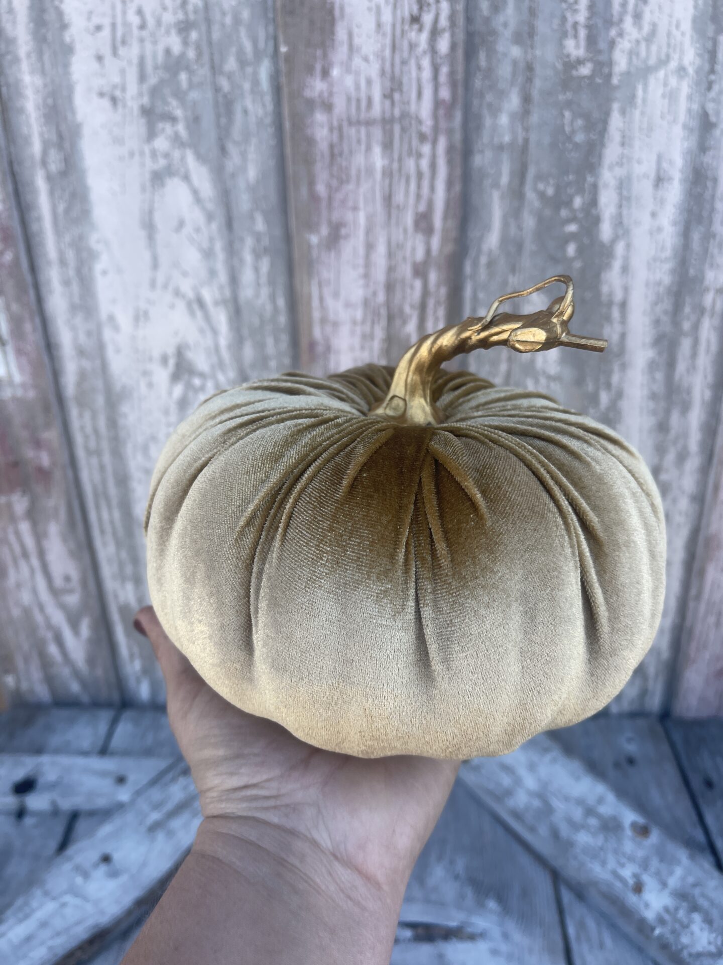 Brown Velvet Pumpkin Kelea's Florals