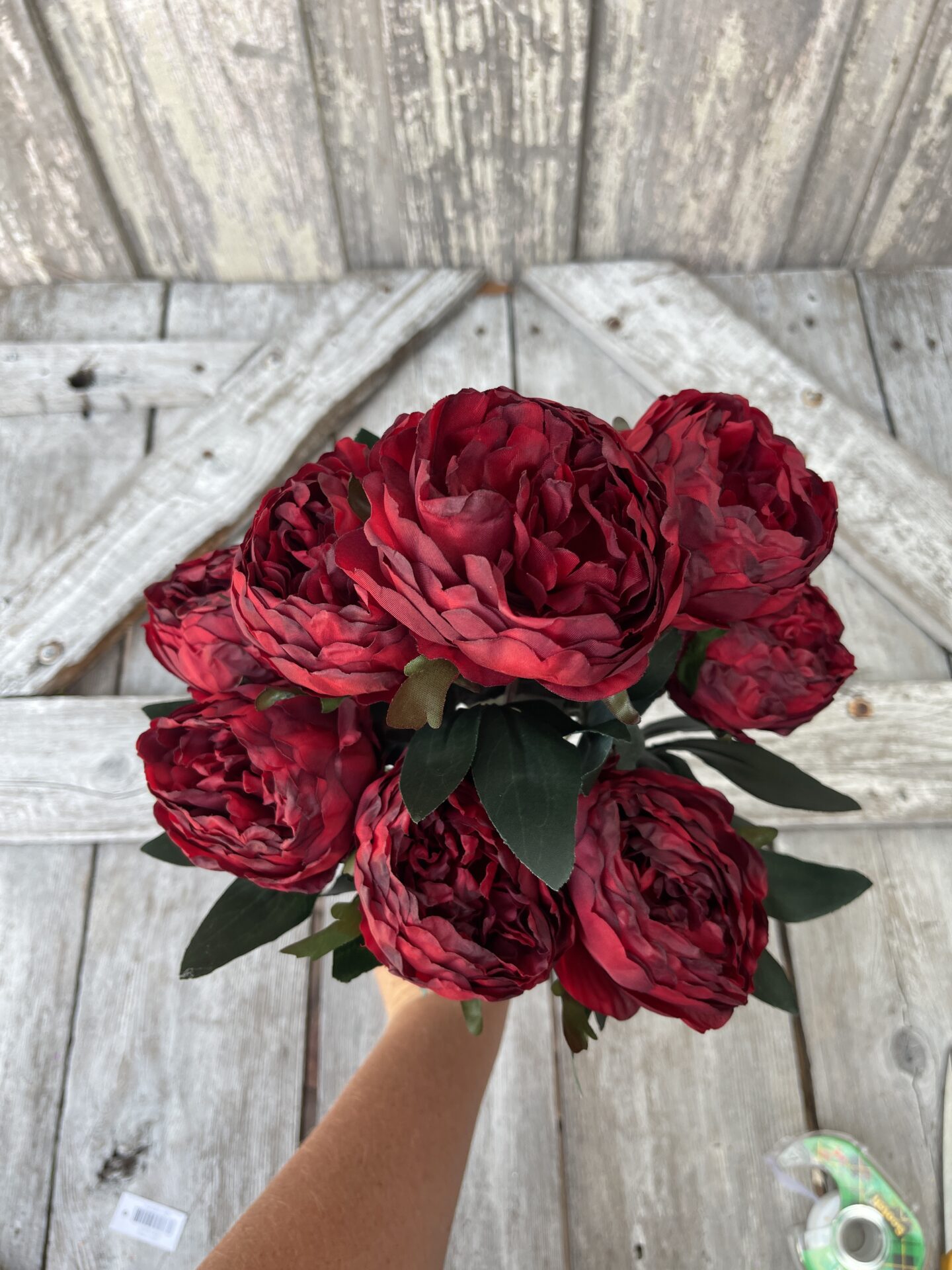 18 in Red Dry Peony Bush