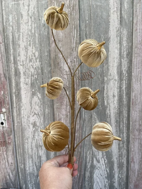 Brown Pumpkin Stem 56780BN