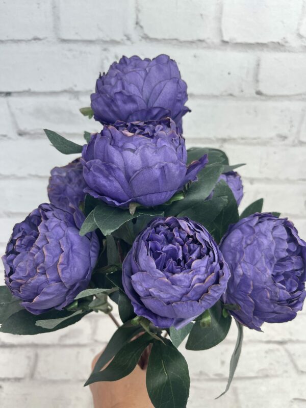 Purple Dry Peony Bush Kelea's Florals