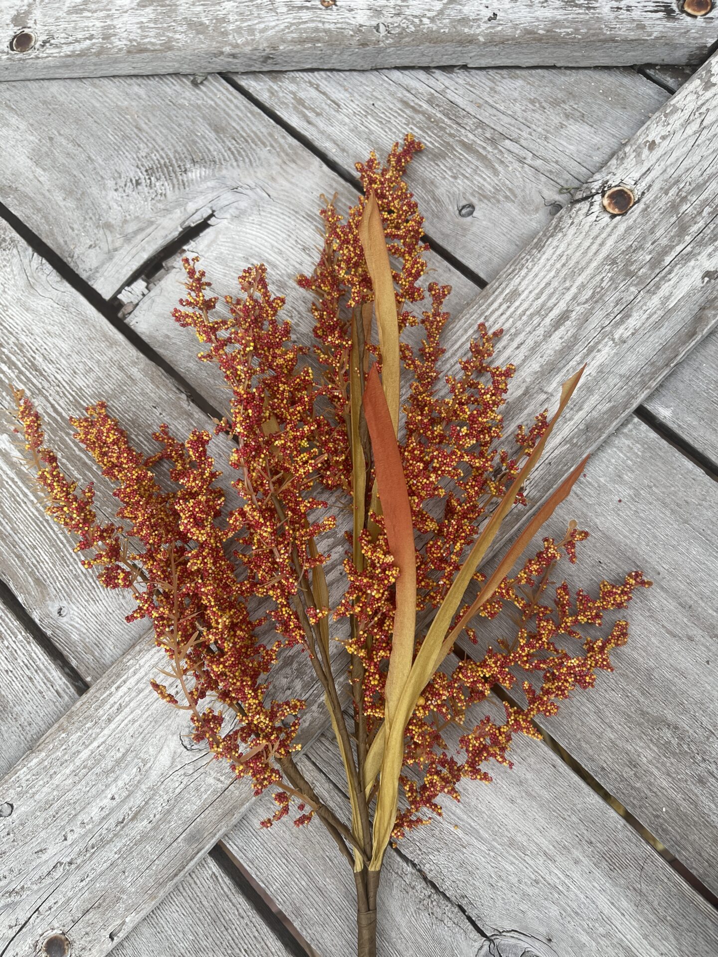 Orange Feather Reed Grass Spray Kelea's Florals