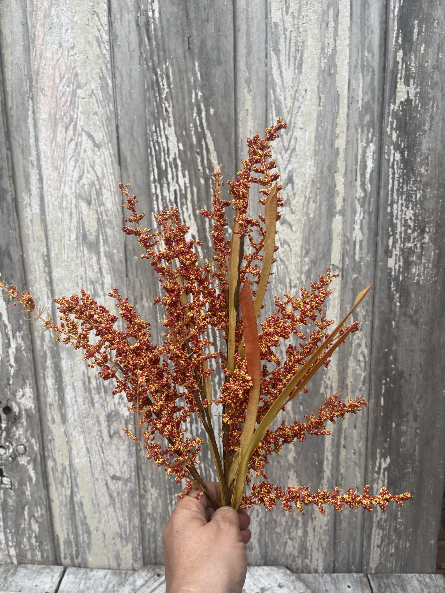 Orange Feather Reed Grass Spray Kelea's Florals