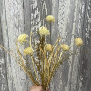 Thistle Straw Filler Bush