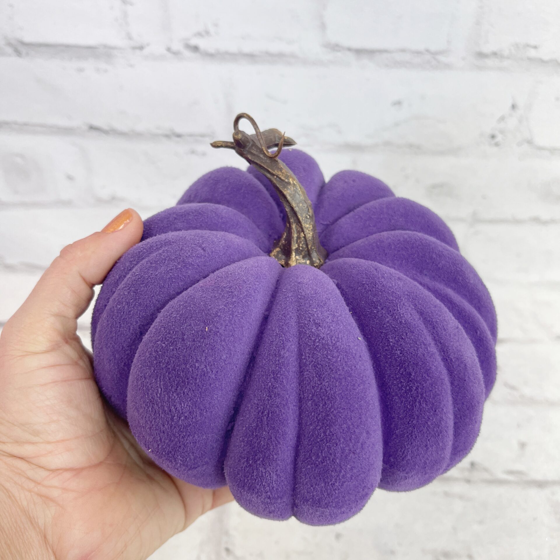 Purple Flocked Pumpkin Kelea's Florals