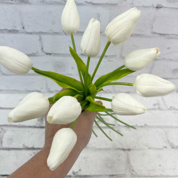 White Tulip Bundle
