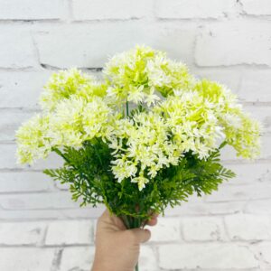 Cream Allium Bush