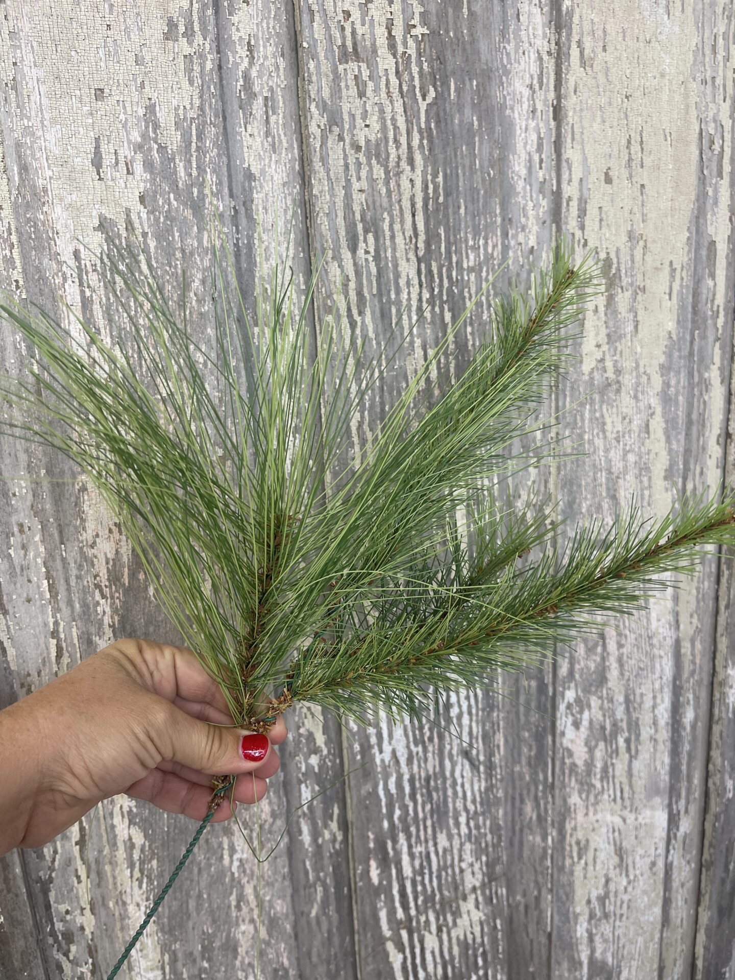 Pine Stem Kelea's Florals