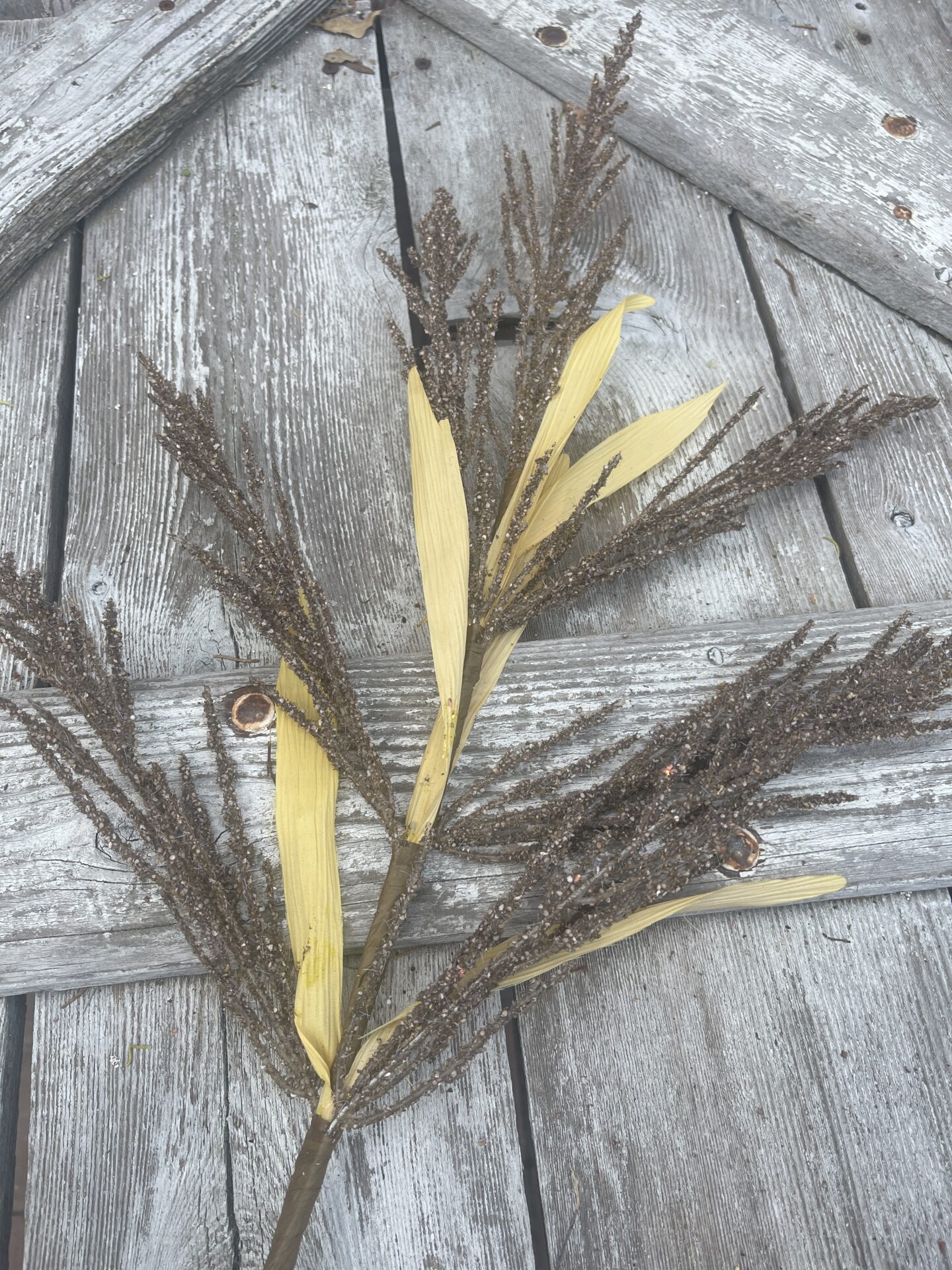 Brown Astilbe Stem Kelea's Florals