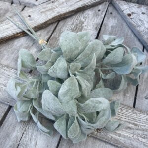 Frosted Gray Lambs Ear Bundle 2310287FG