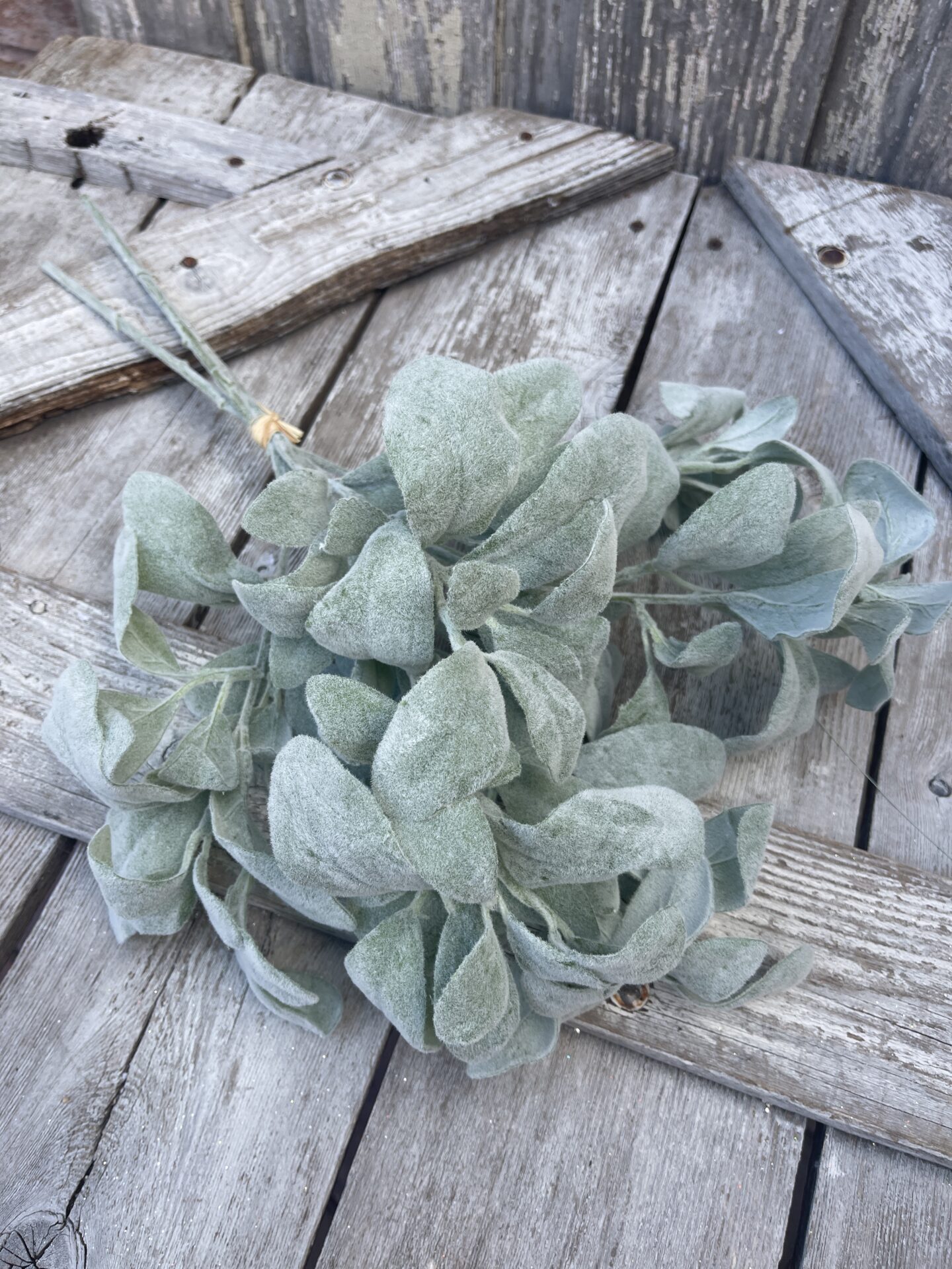 Frosted Gray Lambs Ear Bundle Kelea's Florals