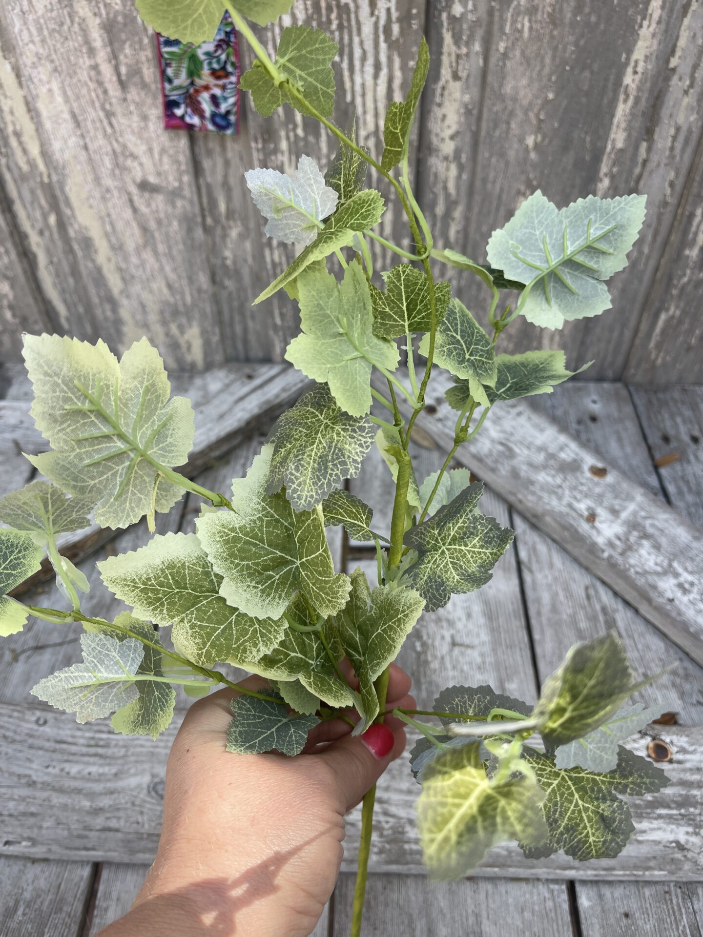 Grape Ivy Pick Kelea's Florals